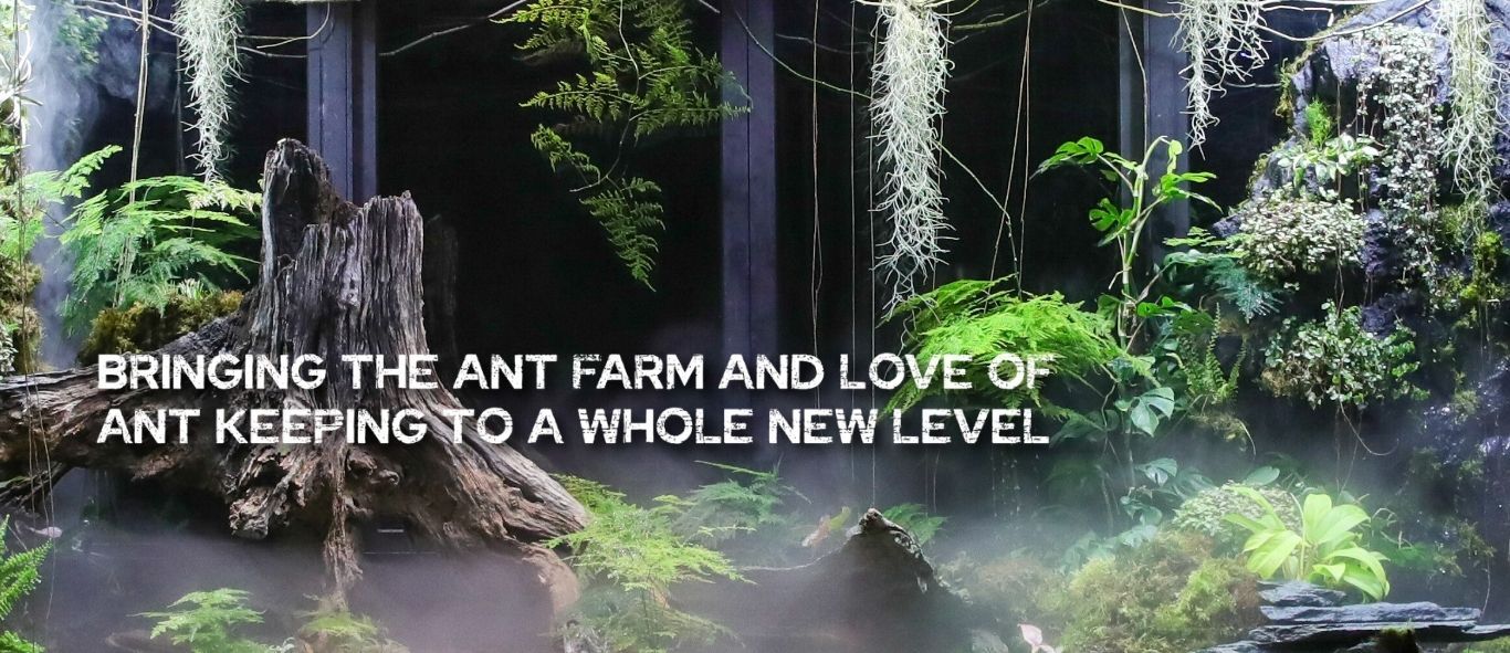 Ants: Tiny Details, Grand Style